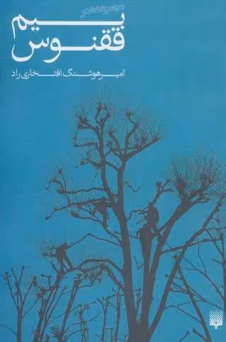 بیم ققنوس (مجموعه شعر)