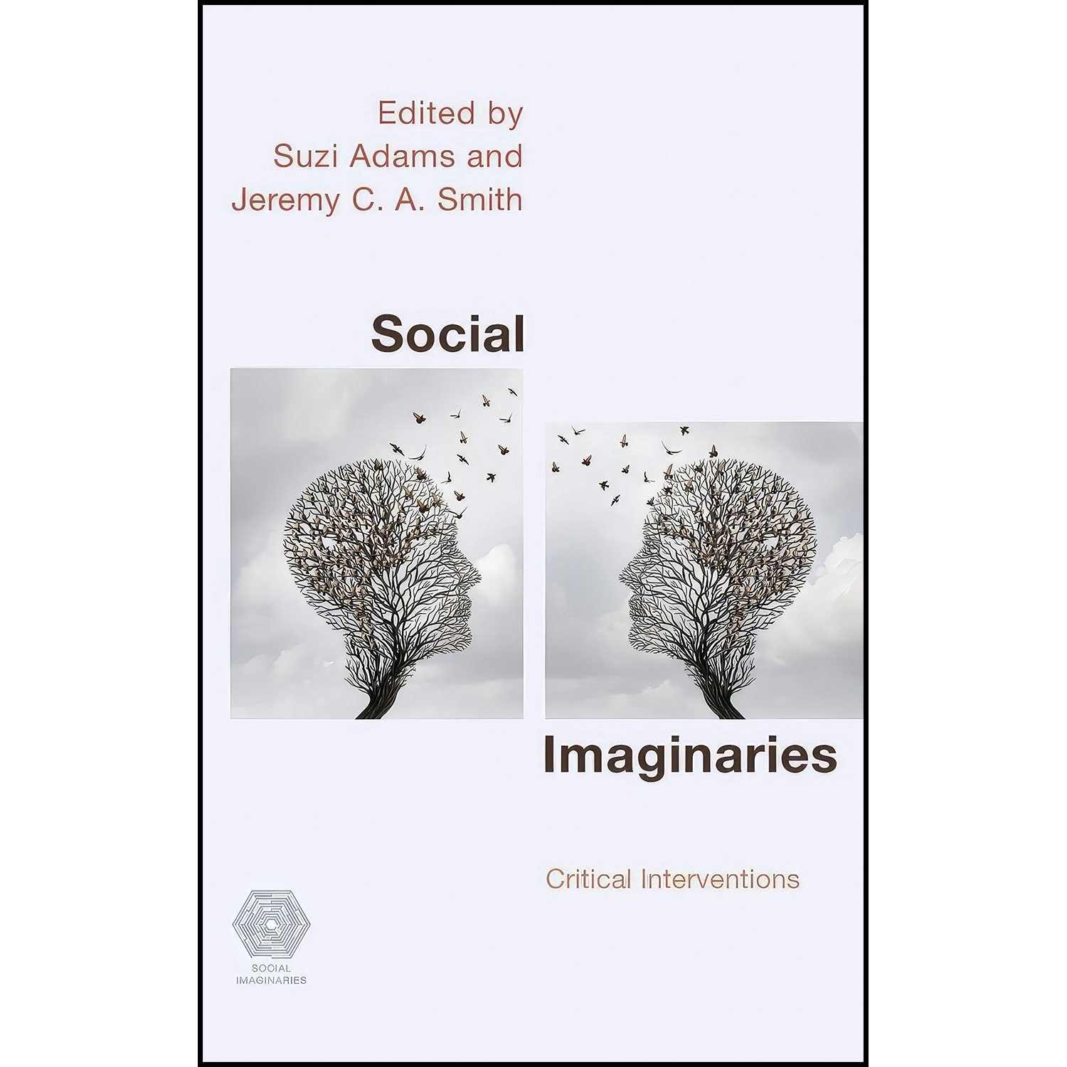 کتاب زبان اصلی Social Imaginaries اثر Suzi Adams and Jeremy CA Smith