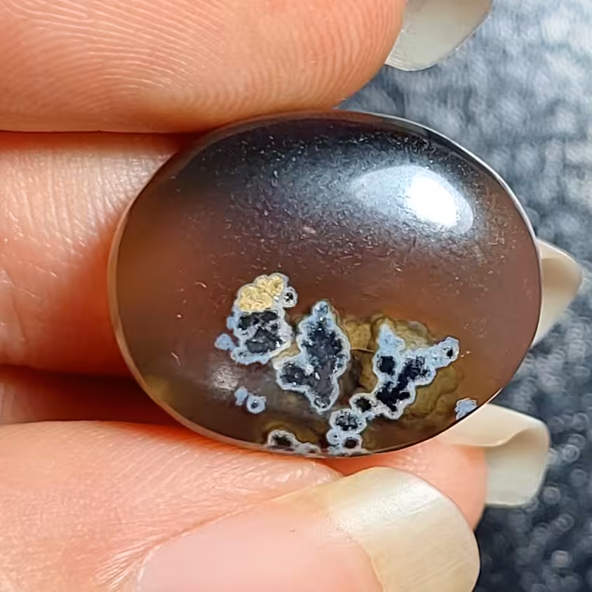 شجر مشکی زمینه ی خرمایی بسیار زیبا و خاص کدM194