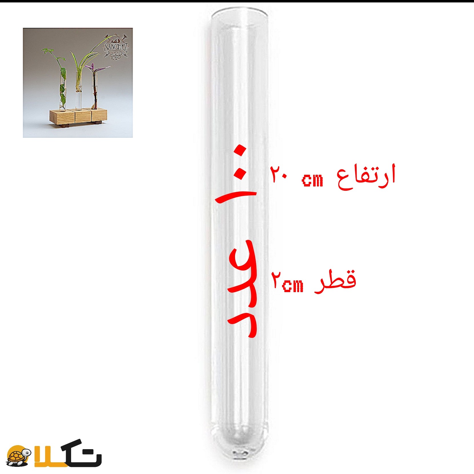شیشه گلدان شیشه لوله ای لوله پتوس