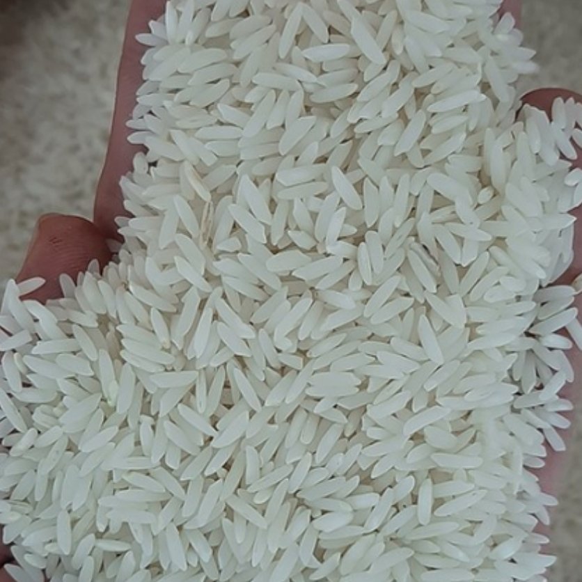 برنج طارم هاشمی فریدونکنار عطری خریدی بی واسطه ازکشاورز دربسته بندی 50کیلویی