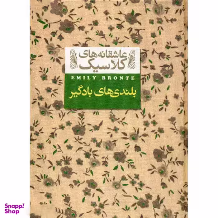 کتاب بلندی های بادگیر اثر امیلی برونته نشر افق