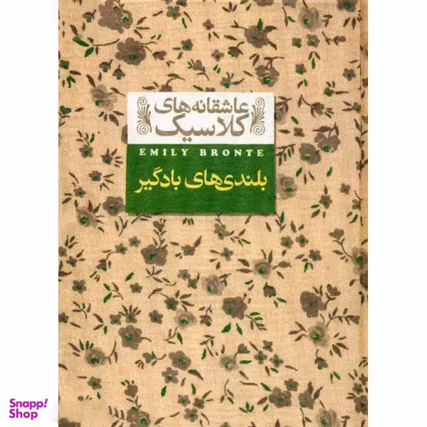 کتاب بلندی های بادگیر اثر امیلی برونته نشر افق