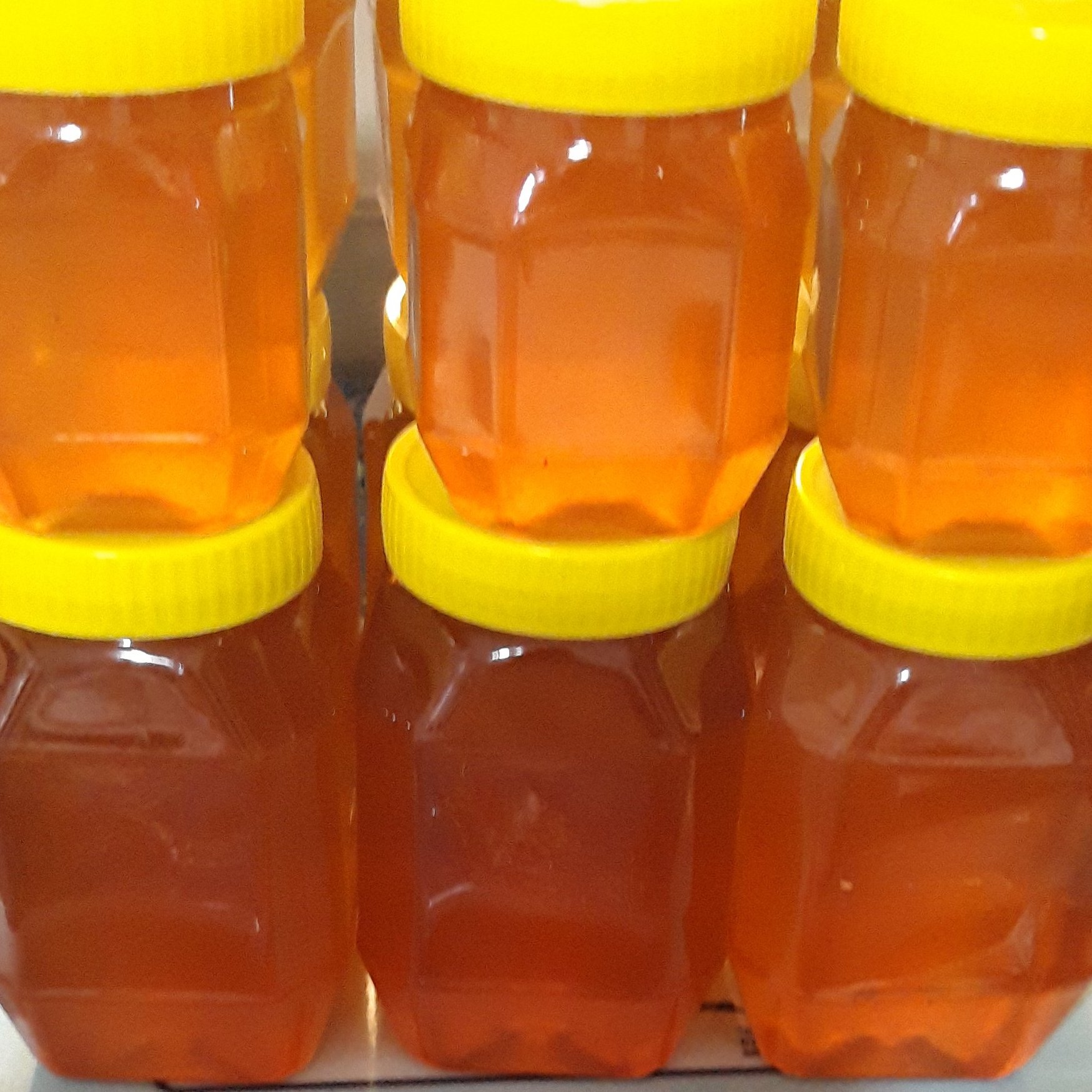 عسل طبیعی وتضمینی چهل گیاه آذربایجان دربسته های 1 کیلویی
