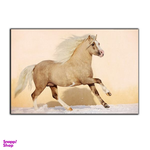 تابلو شاسی بکلیت طرح اسب سفید مدل SH-7508