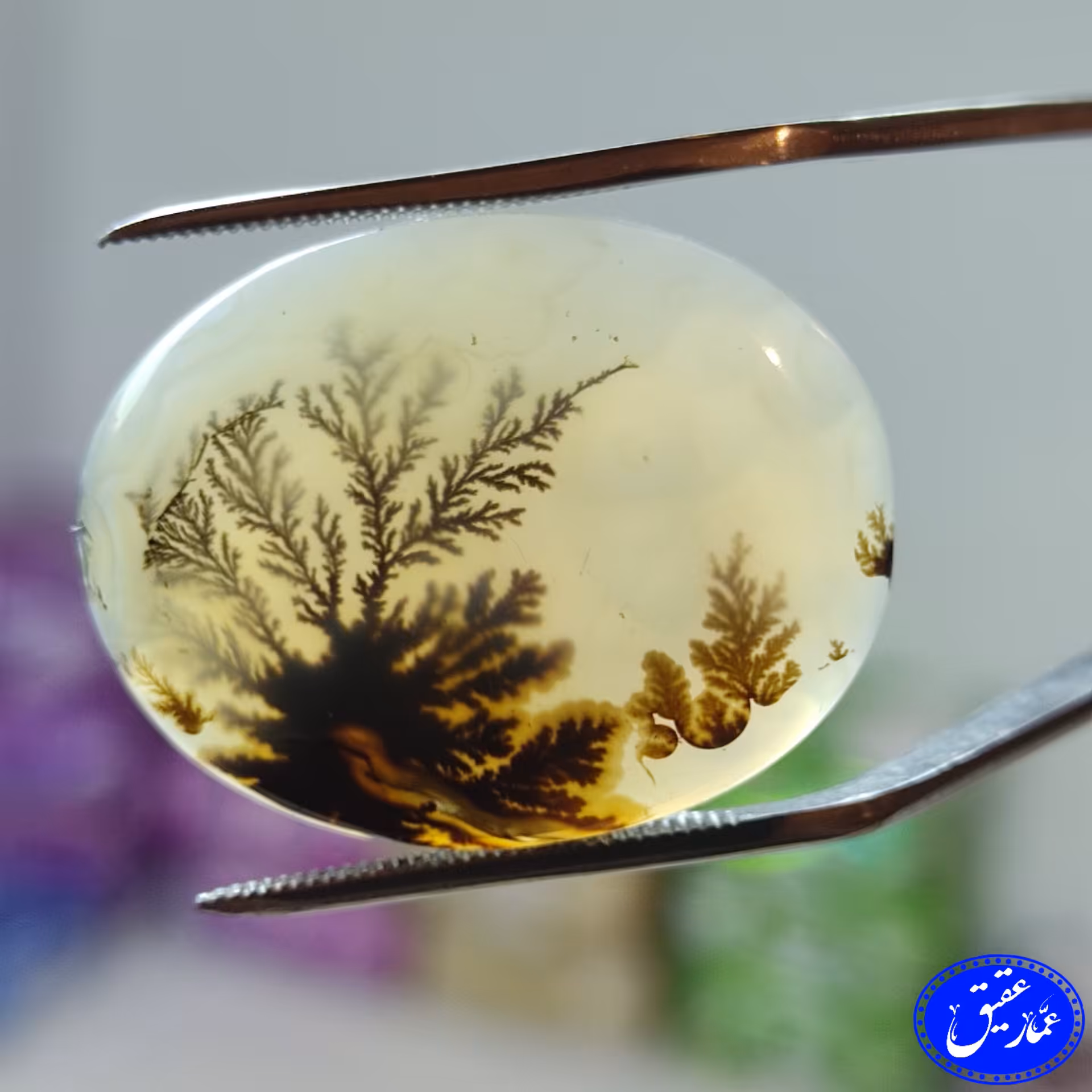 نگین عقیق شجر منظره درخت و بوته