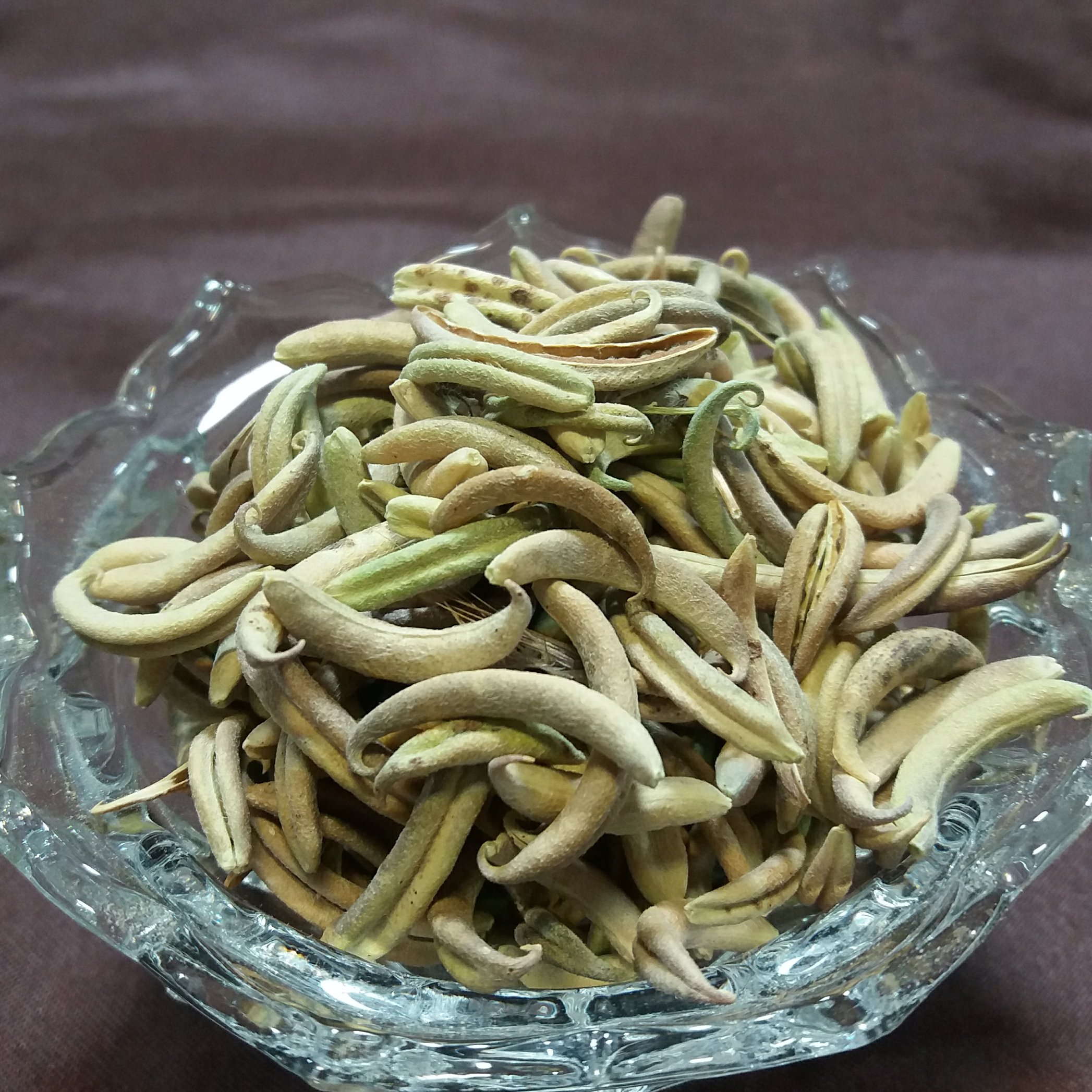گیاه ناخنک ضد سنگ کلیه درجه یک بسته 100 گرمی