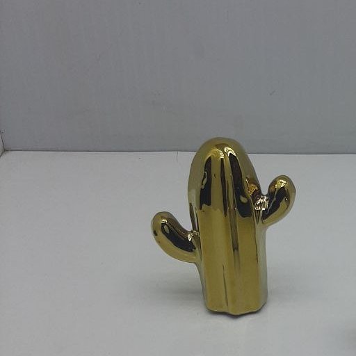 اکسسوری کاکتوس