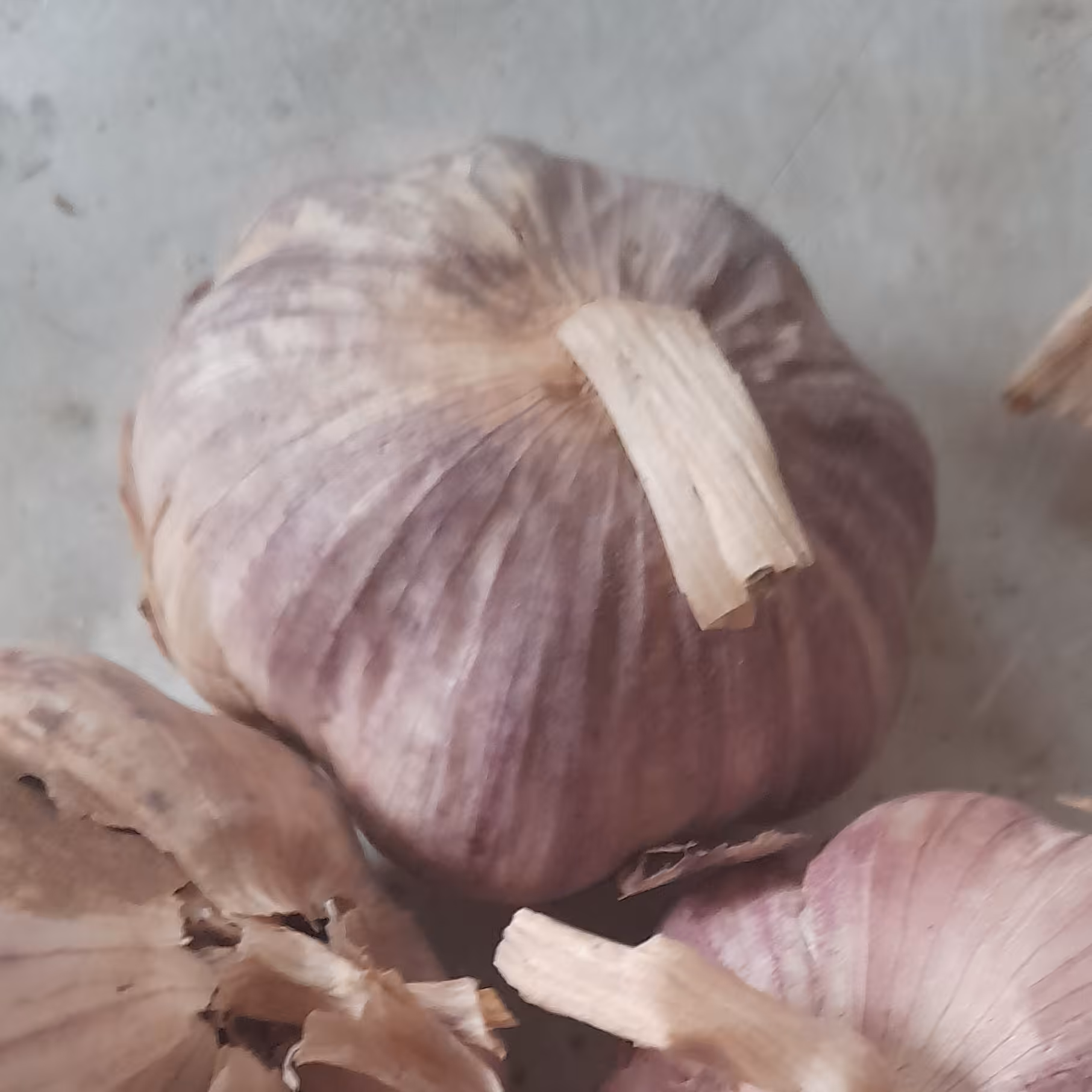 سیر خشک متوسط (5000گرمی)