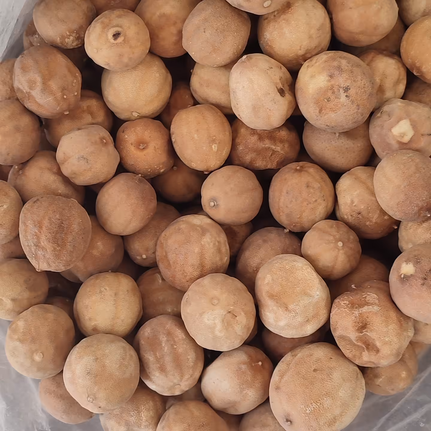 لیمو عمانی ایرانی میناب (100 گرم)