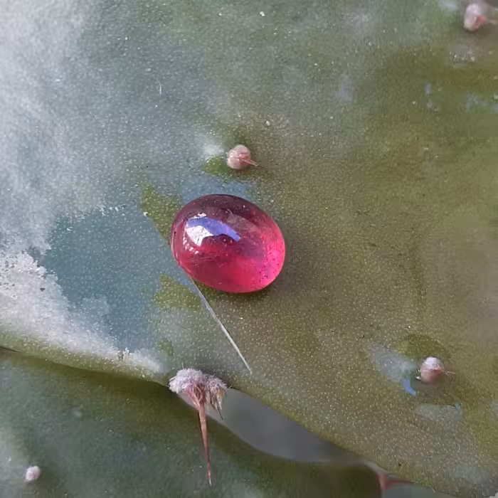 یاقوت سرخ طبیعی بسیار کهنه ریز 1،25قیراط 