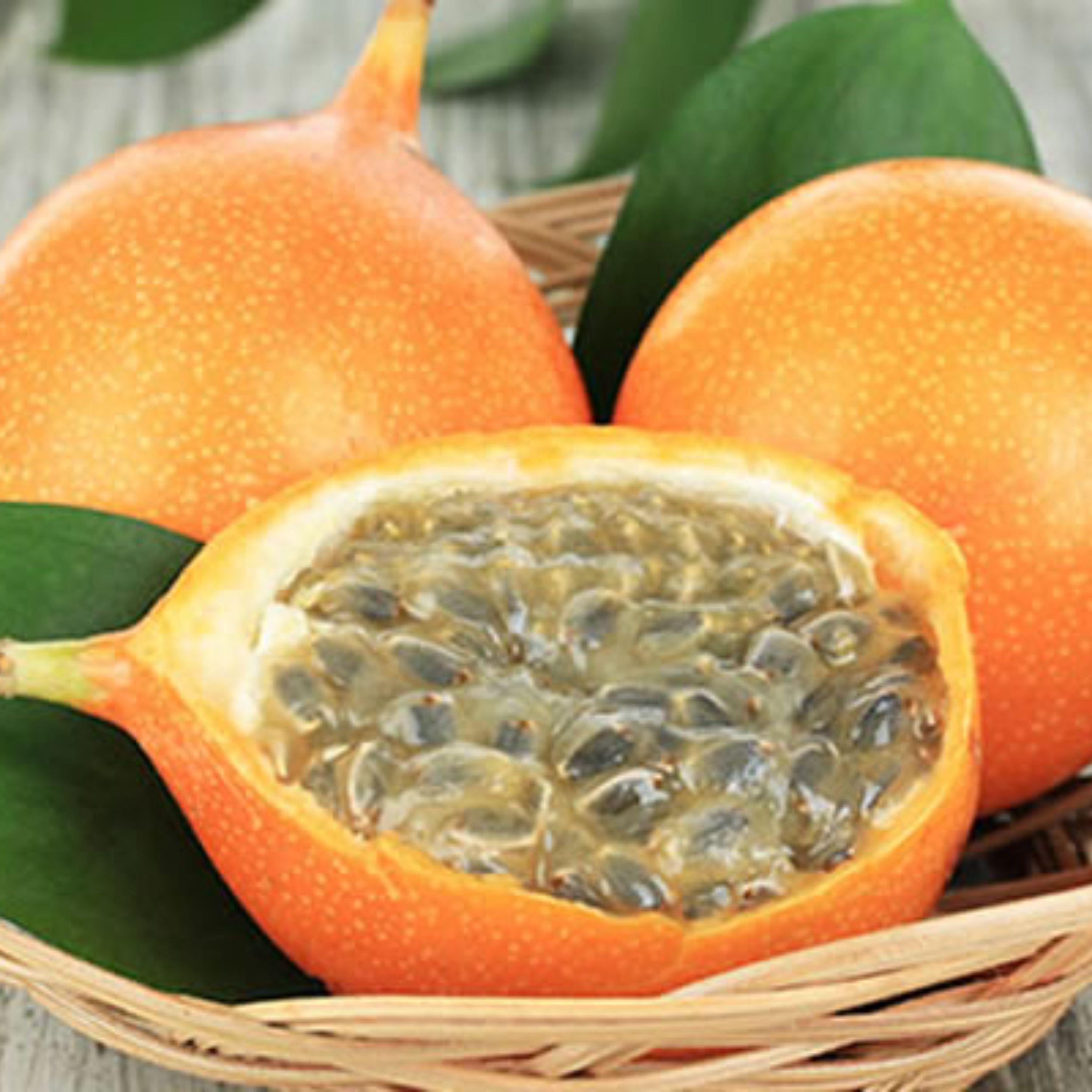 بذر پشن فروت گرانادیلا طلایی عسلی بسته 5 عددی