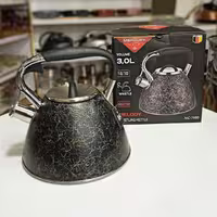 کتری سوتی حرفه ای MERCURY


