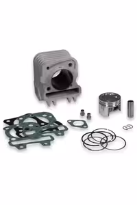 پیستون موتورسیکلت VESPA PRIMAVERA SPRINT 50CC EURO 4 CYLINDER SET 79CC 2017 2020 3117771 Malossi