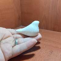 بیس خام مرغ آمین تپل