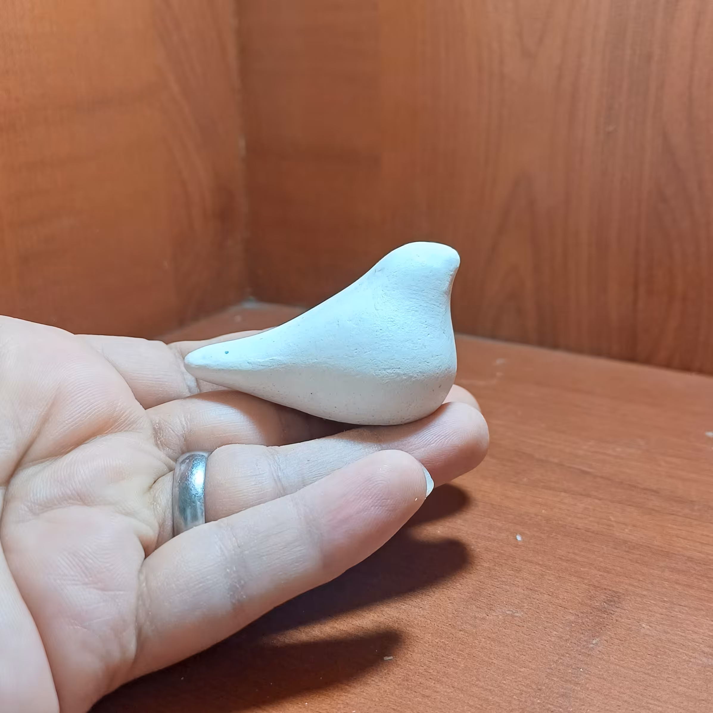 بیس خام مرغ آمین تپل