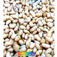 سویا خوراکی (500 گرمی)