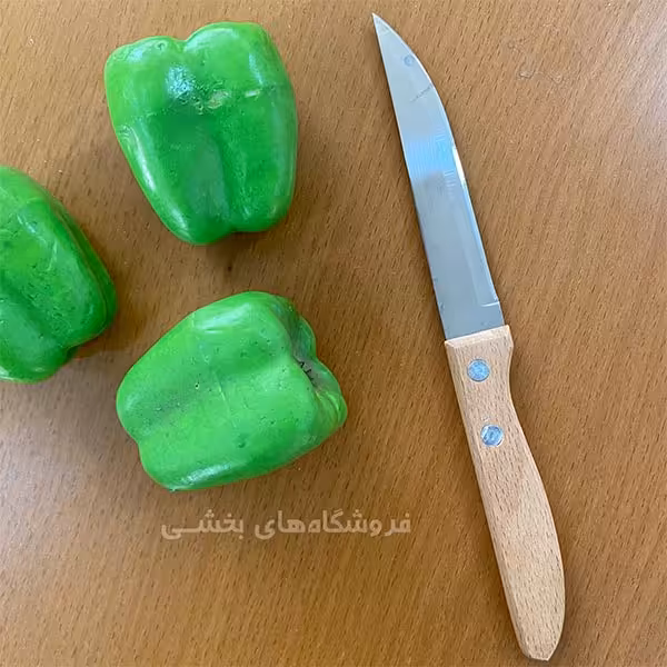 چاقو میوه خوری چوبی تک