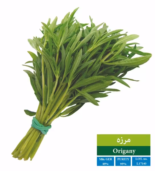 بذر مرزه رویان - بذر طلایی رویان