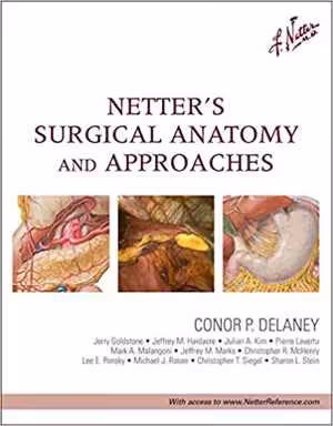 [PDF] دانلود کتاب Netter's Surgical Anatomy And Approaches, 2014