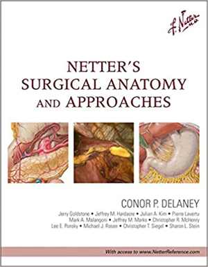 [PDF] دانلود کتاب Netter&#039;s Surgical Anatomy And Approaches, 2014