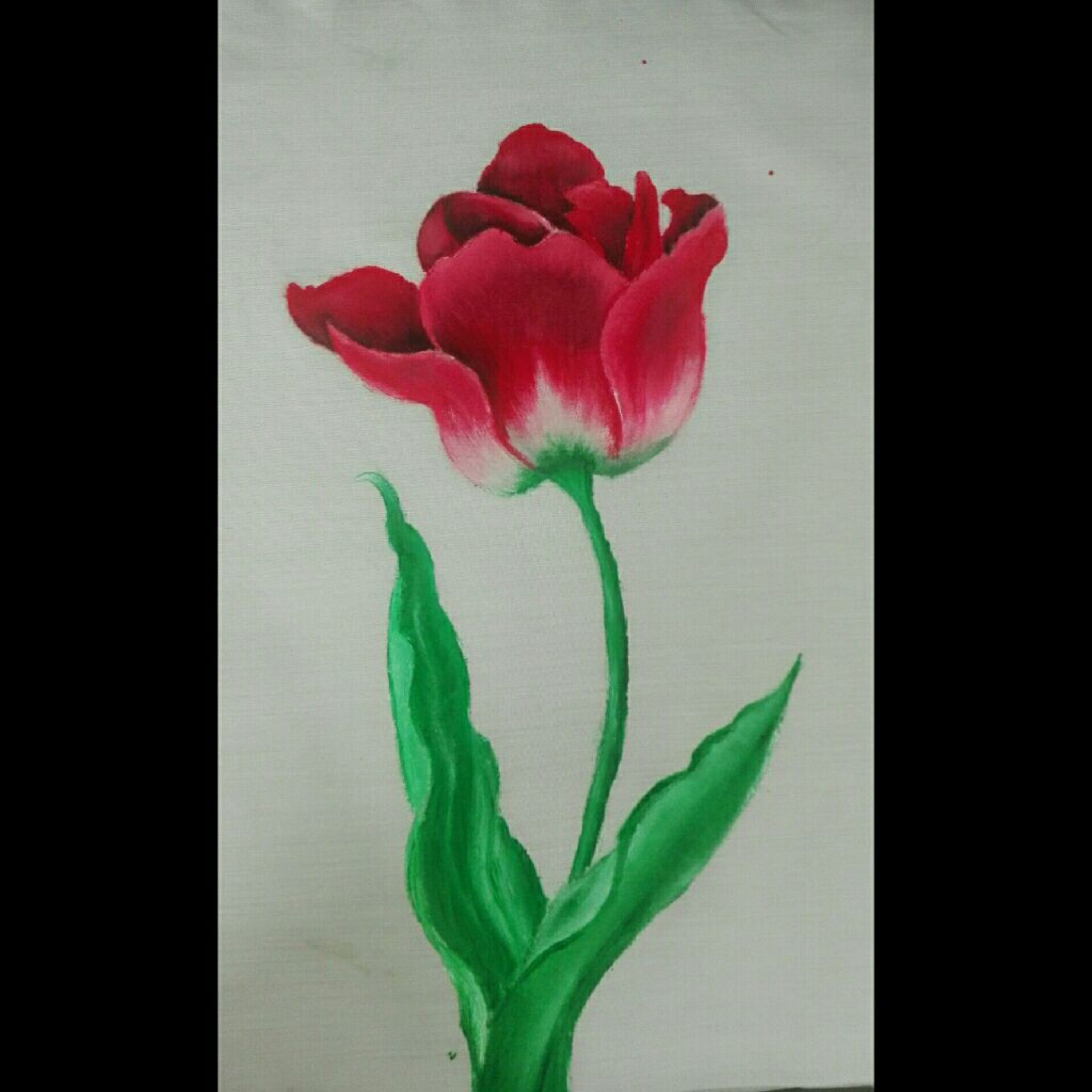 نقاشی گل لاله روی پارچه