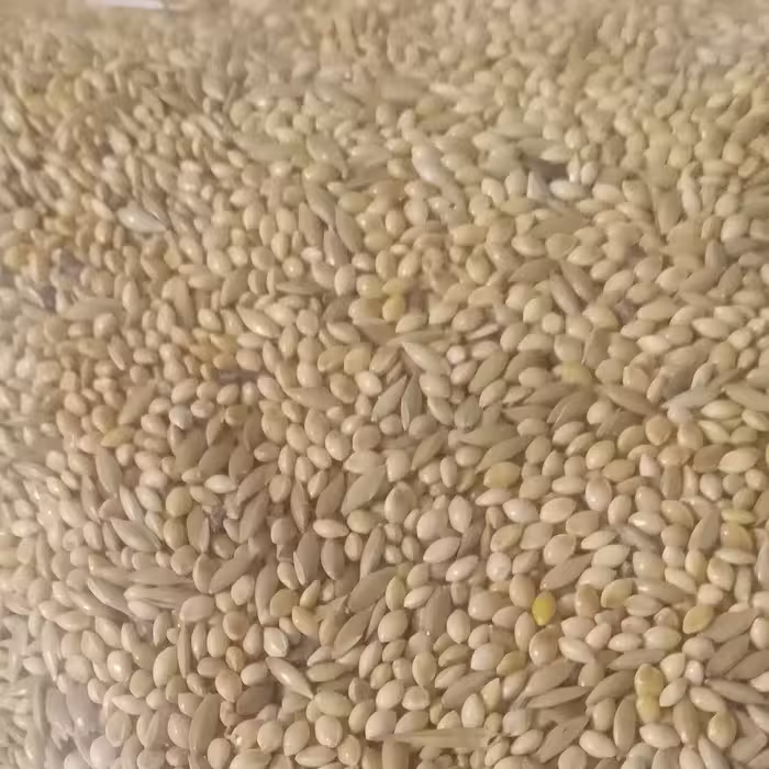 ارزن کتان مخلوط یک کیلو