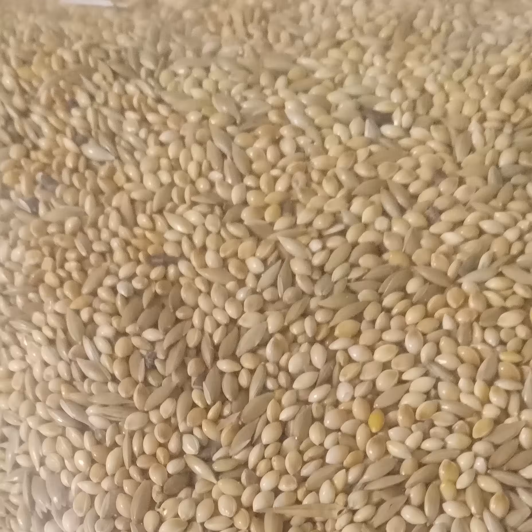 ارزن کتان مخلوط یک کیلو