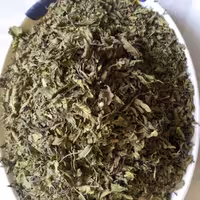 نعناخشک برگی