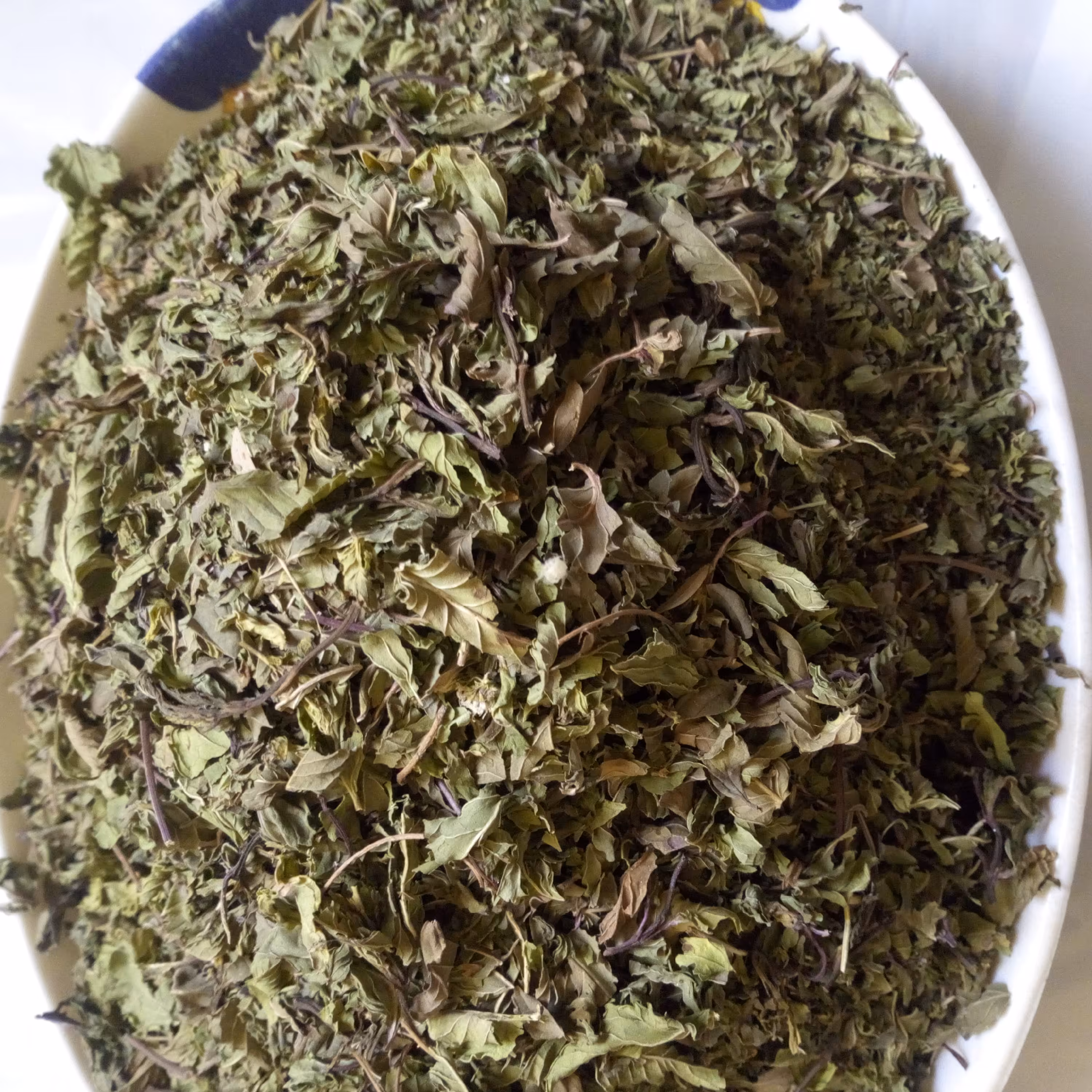 نعناخشک برگی