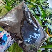 پیت ماس لیتوانی سالویکا