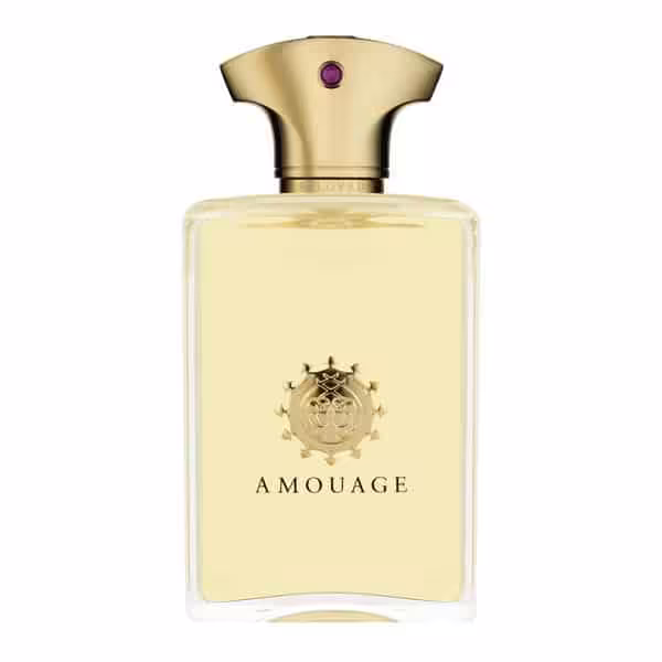 ادو پرفیوم مردانه AMOUAGE Beloved Man حجم 100 میلی لیتر