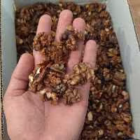 مغز گردو فسنجونی  اقتصادی تویسرکان-روزشکن محصول 1403 (5 کیلو گرم)