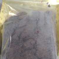 قاووت خشخاشی 