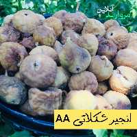 انجیرخشک شکلاتی  سایز AA (متوسط )   بسته پنج کیلویی