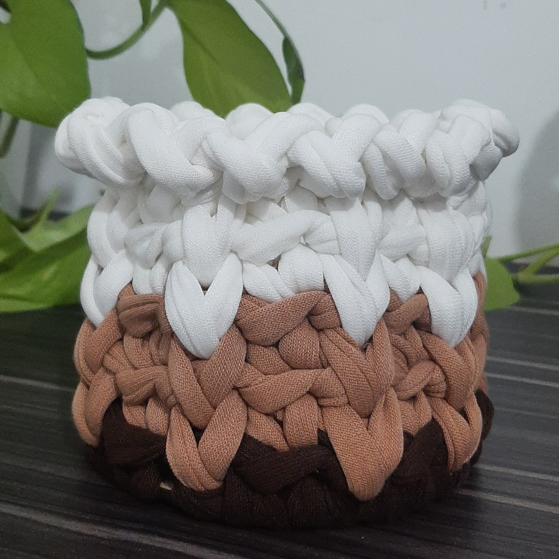 جامدادی یا جابرسی تریکو