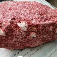 جاوی قرمز   یک سیر