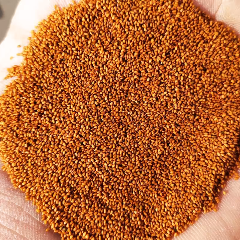 خاکشیر درجه یک کوهی 