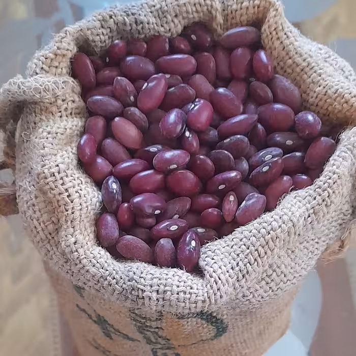 لوبیا قرمز نیم کیلویی دستچین شده  اورگانیک نیم کیلویی