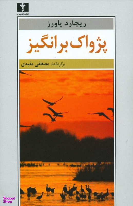 پژواک برانگیز