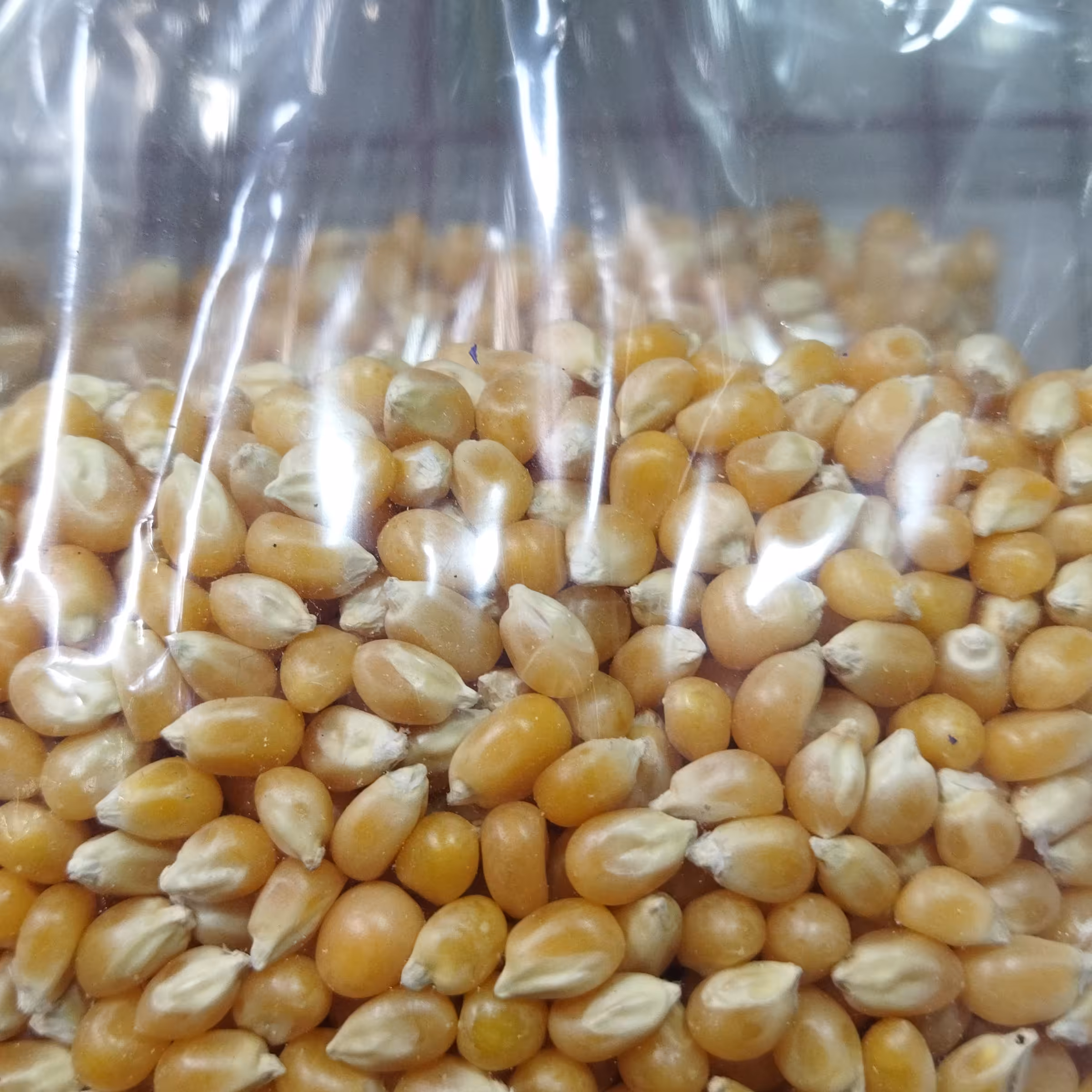 ذرت بو داده عطاری رضوان 