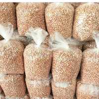 بادام زمینی دو کیلو سایز  درشت تازه ارسال رایگان