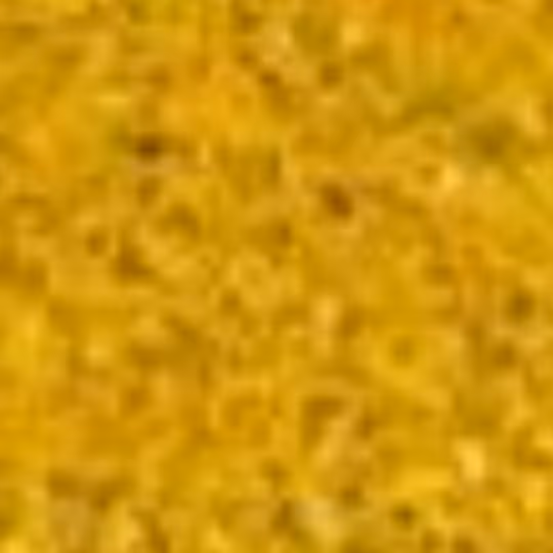 ادویه آبگوشتی و خورشتی 100 گرمی