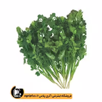 بذر گشنیز کرخه
