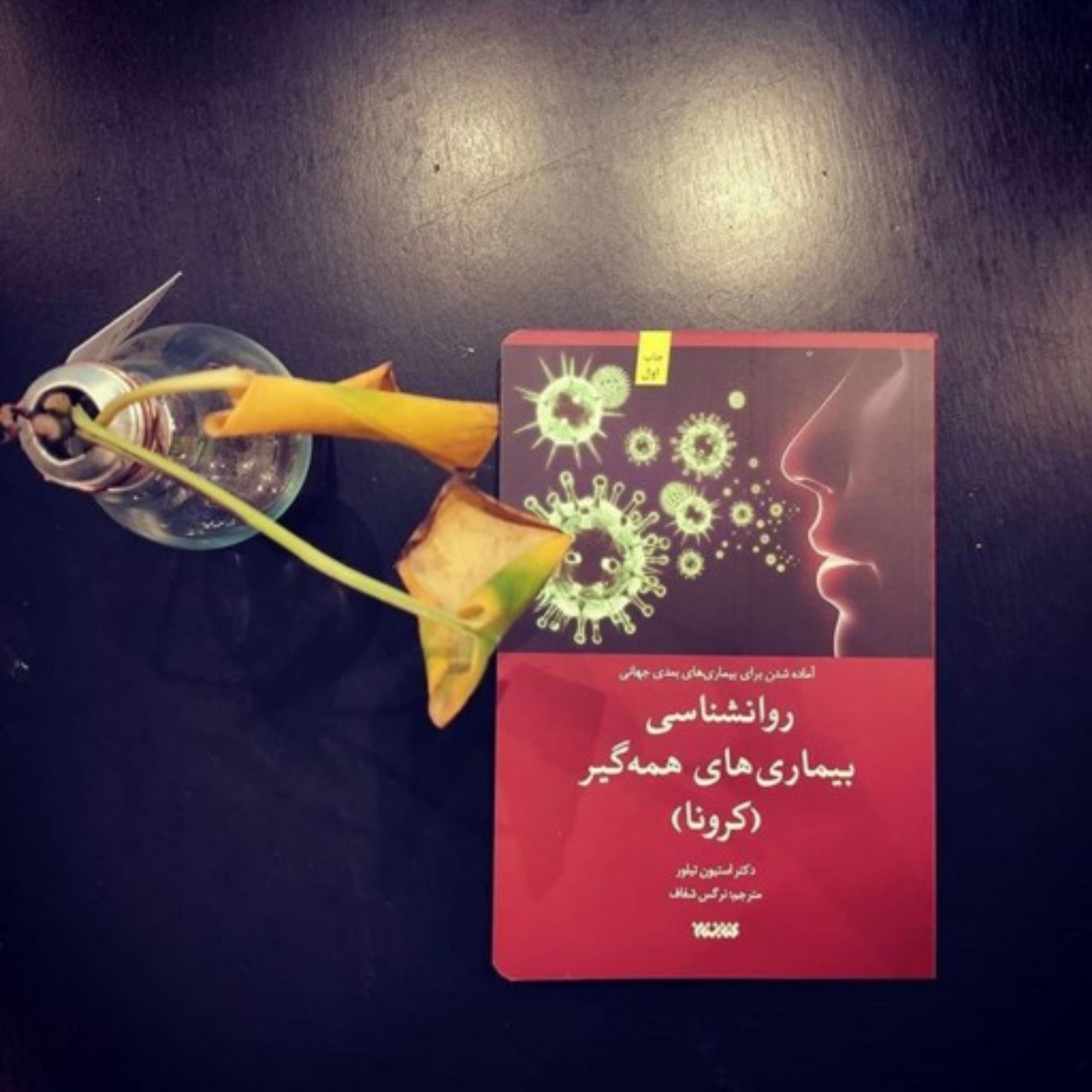 کتاب روان شناسی بیماری های همه گیر(کرونا)