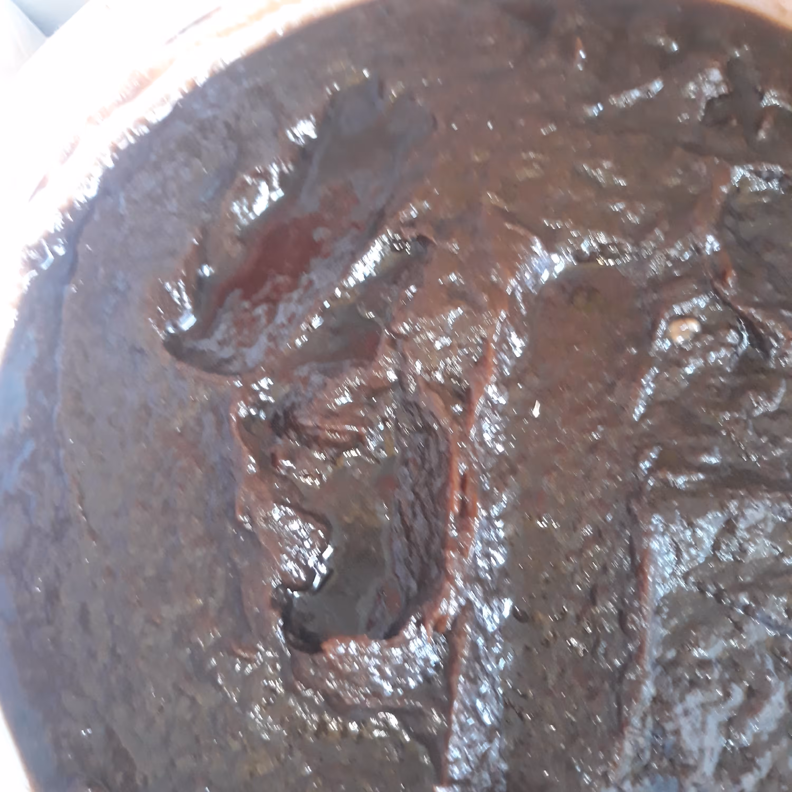 رب  آلوچه  ارگانیک  شمالی