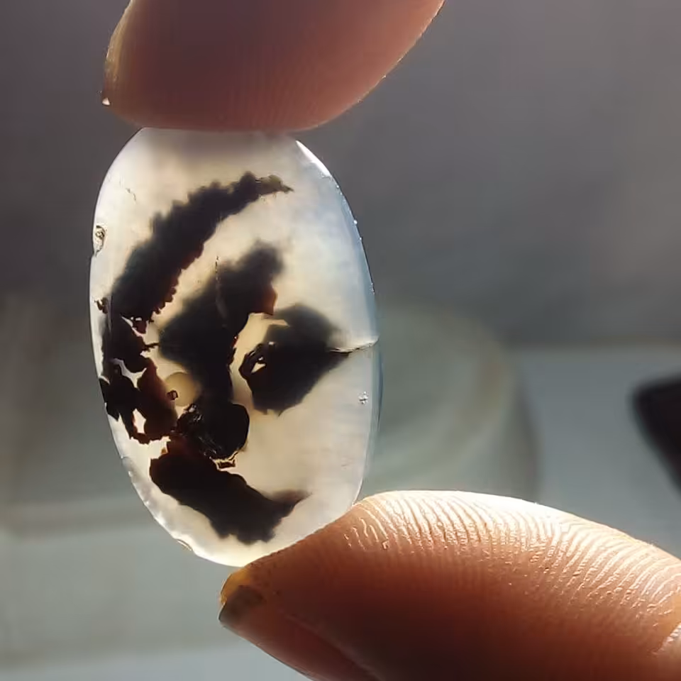 نگین عقیق شجر مصور به نام مبارکه مولا علی علیه السلام 