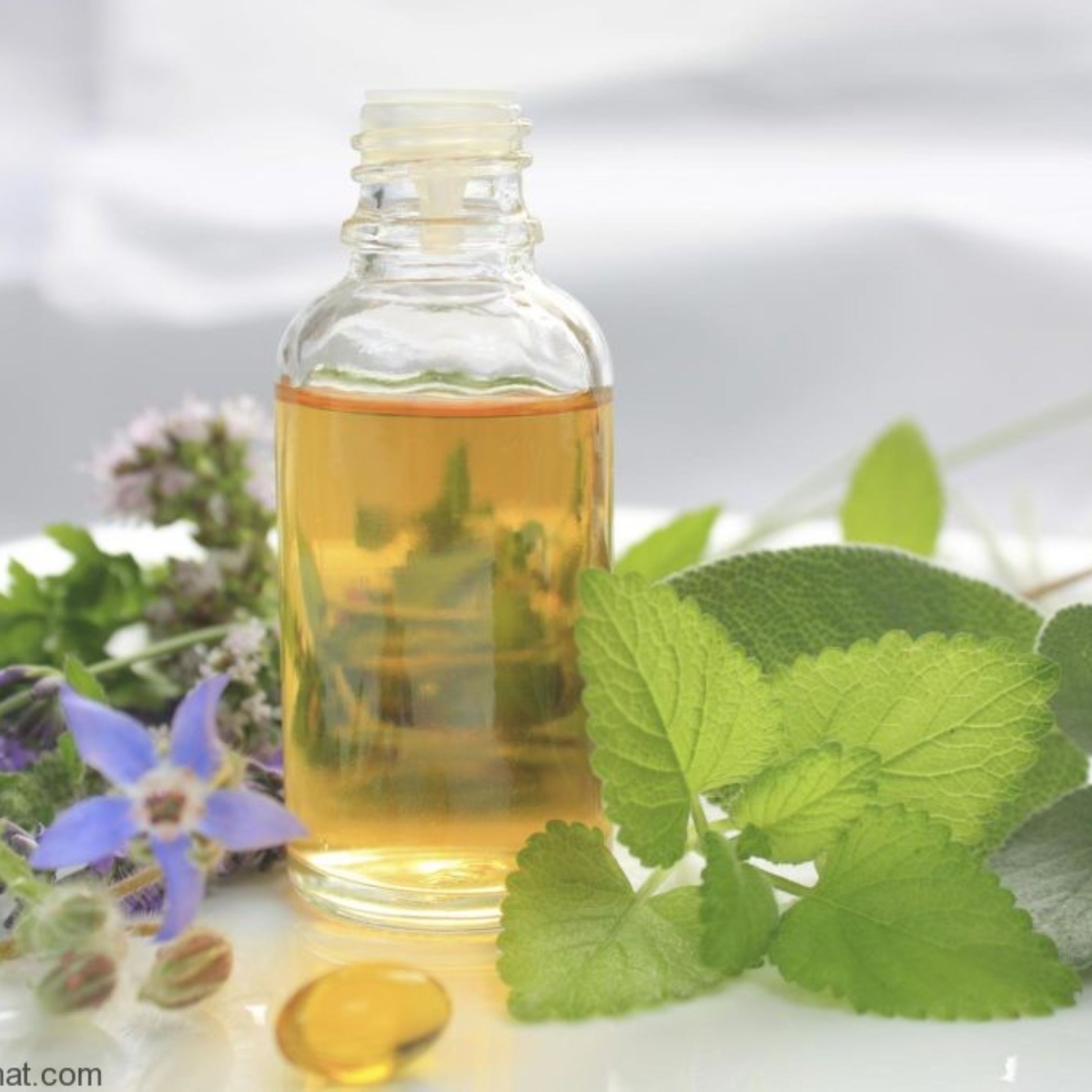 روغن گل گاوزبان 65 میلی لیتر بسته بندی شیشه ای