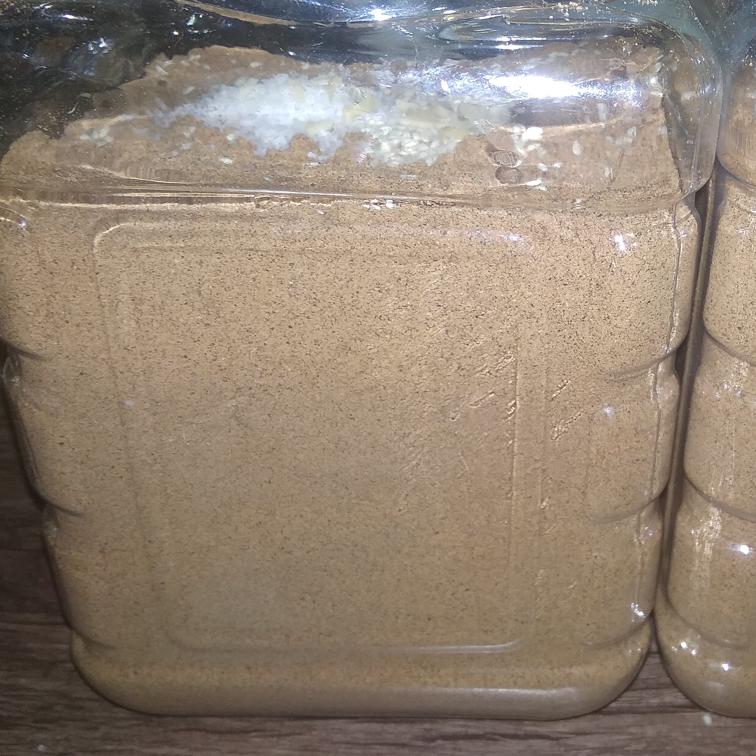 کاچی کرمانی(تاسوی)