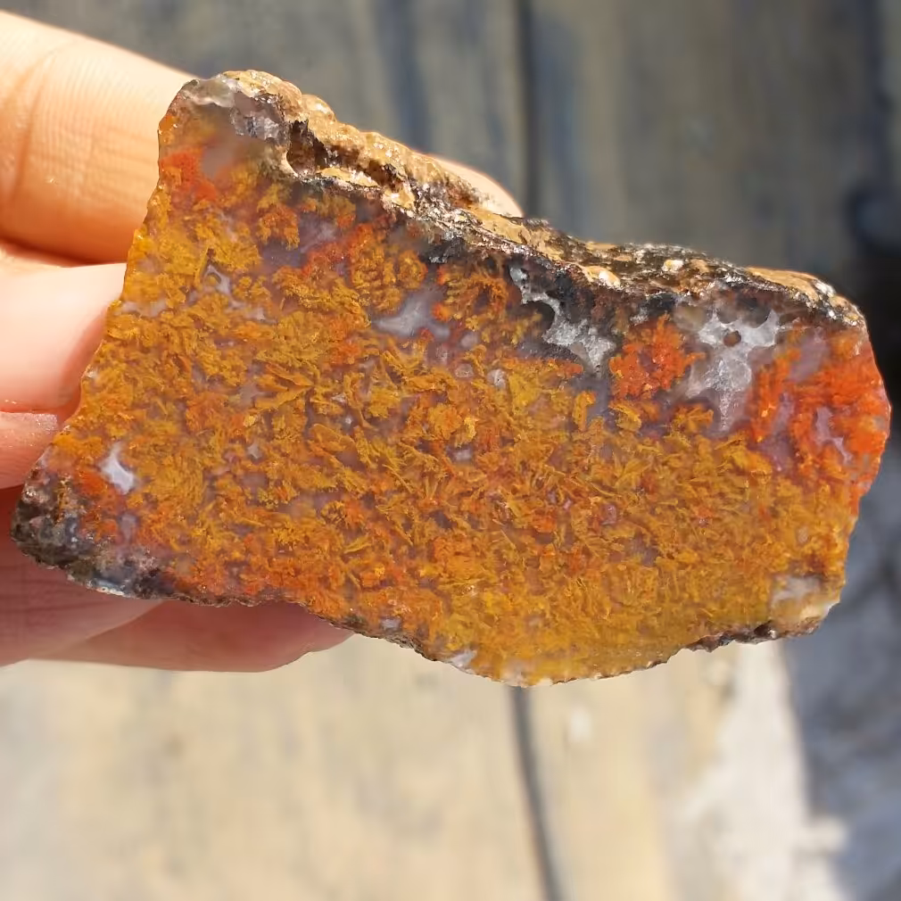 اسلایس سنگ راف عقیق شجر منظره پاییزی بسیار دیدنی شاهکار خلقت کاملا طبیعی
تابلو نقاشی طبیعی
کد 8659